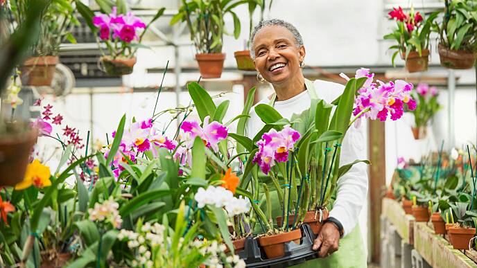 Quanto Può Costare Una Capsula Dentale Di Ceramica?